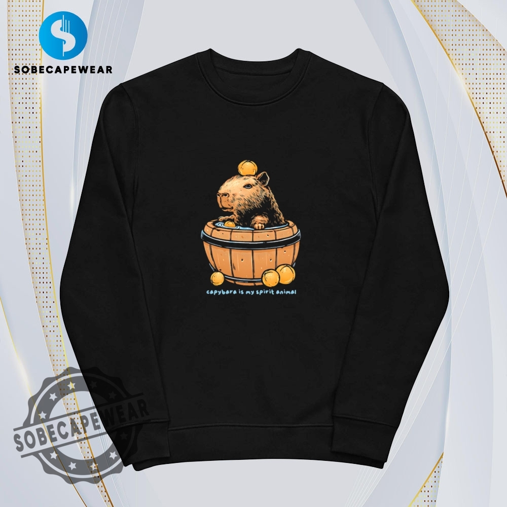 Spirit Animal Capybara Shirt Hoodie Sweatshirt Vintage 5 Spirit animal Capybara Shirt Hoodie Sweatshirt Vintage