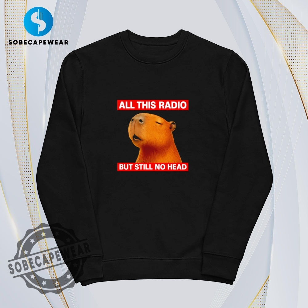 All This Radio But Still No Head Capybara Shirt Hoodie Sweatshirt Vintage 5 All this radio but still no head Capybara Shirt Hoodie Sweatshirt Vintage